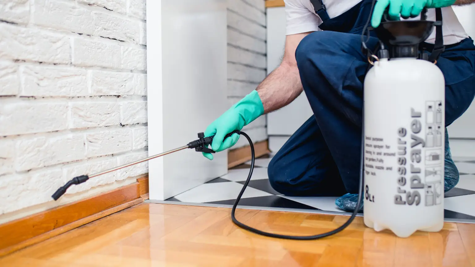 Man spraying pesticide in house